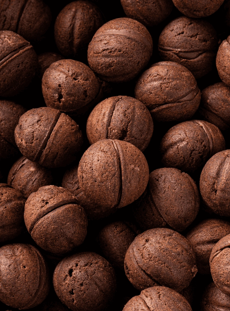 vegan шоколадні горішки